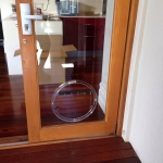 Glass Dog Doors Perth